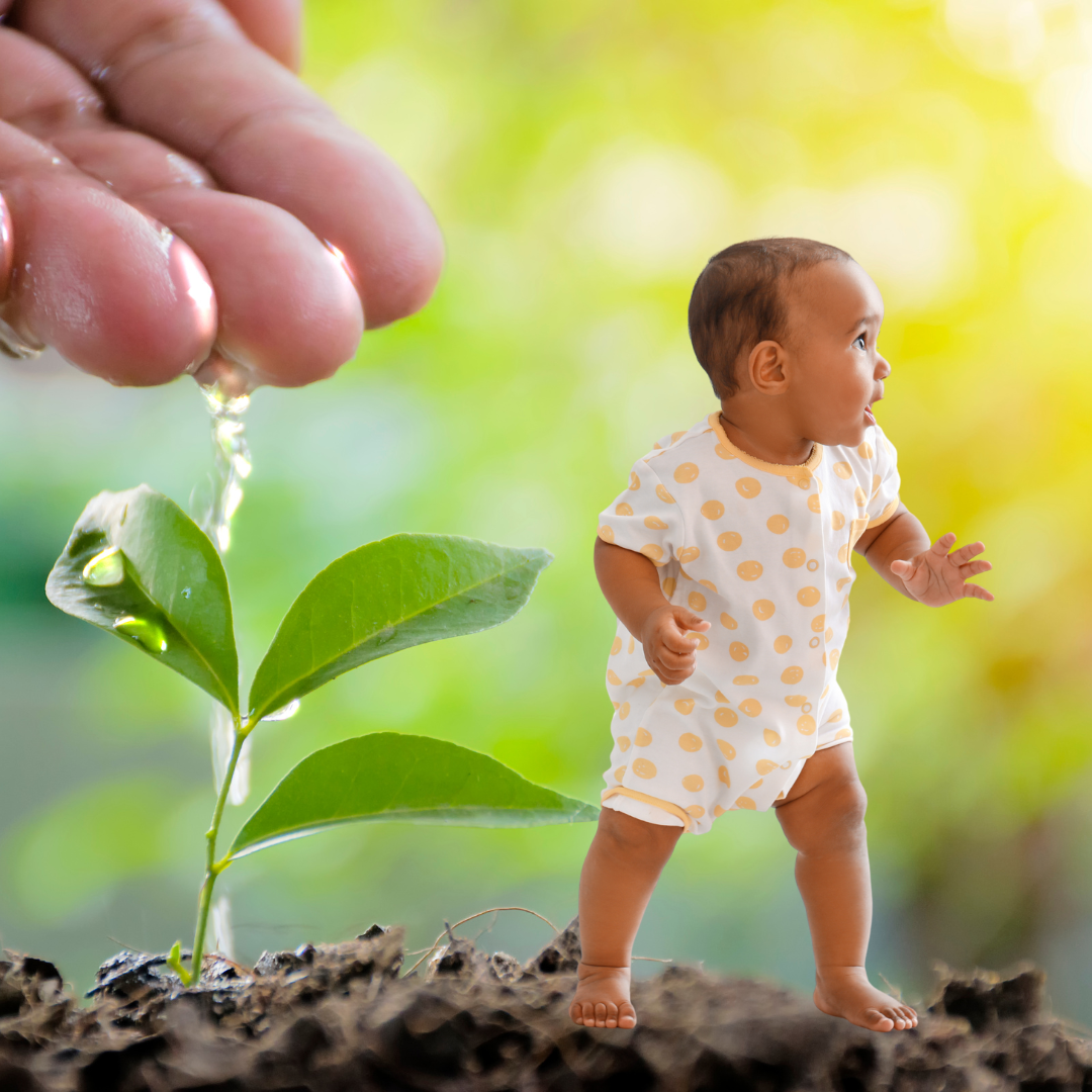 A toddler learning to walk alongside a see growing from the ground being watered.